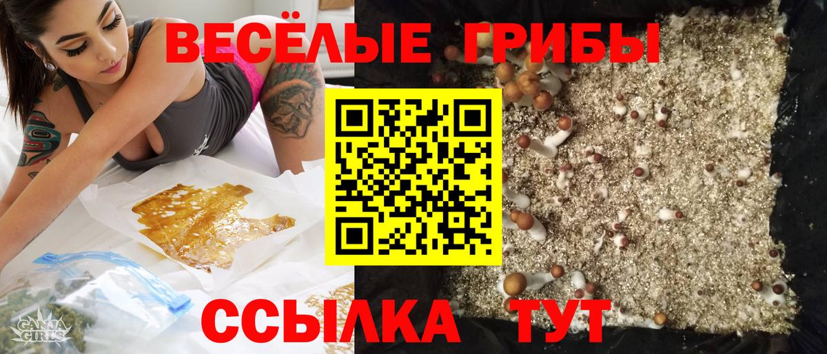 Богородск  купить наркотик  Вход с VPN  Псилоцибиновые грибы Magic Shrooms 